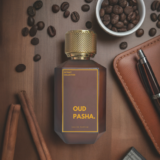 Oud Pasha Unisex Arabian Perfume EDP 100ml⁩